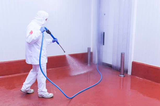 Pre-Holiday Cleaning in Wonder Lake, IL